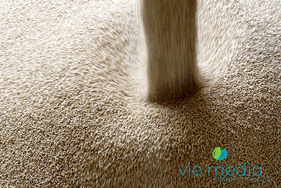 Grain being loaded at a silo, Corowa, NSW, Australia