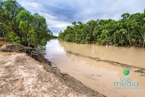 Darling River Water Levels