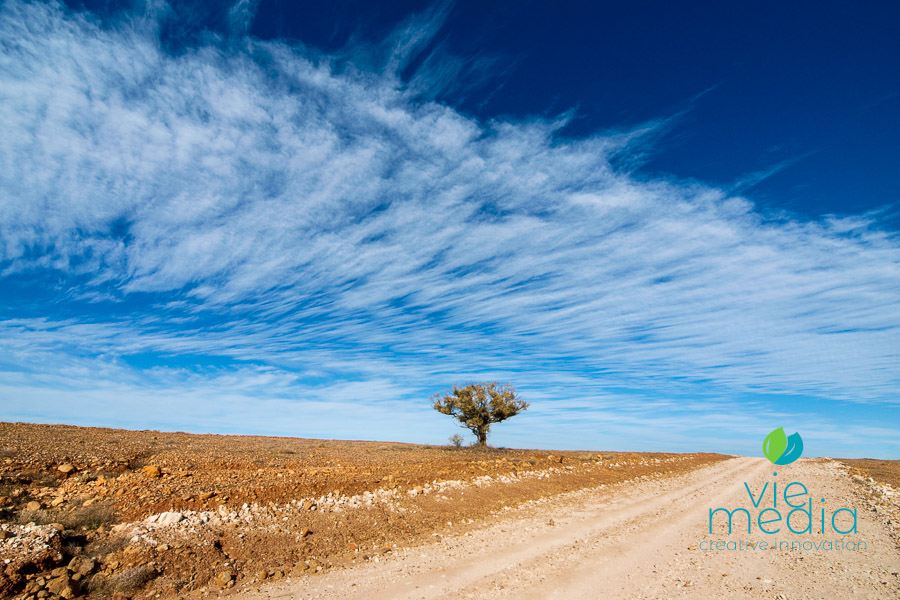Darling River Road Conditions