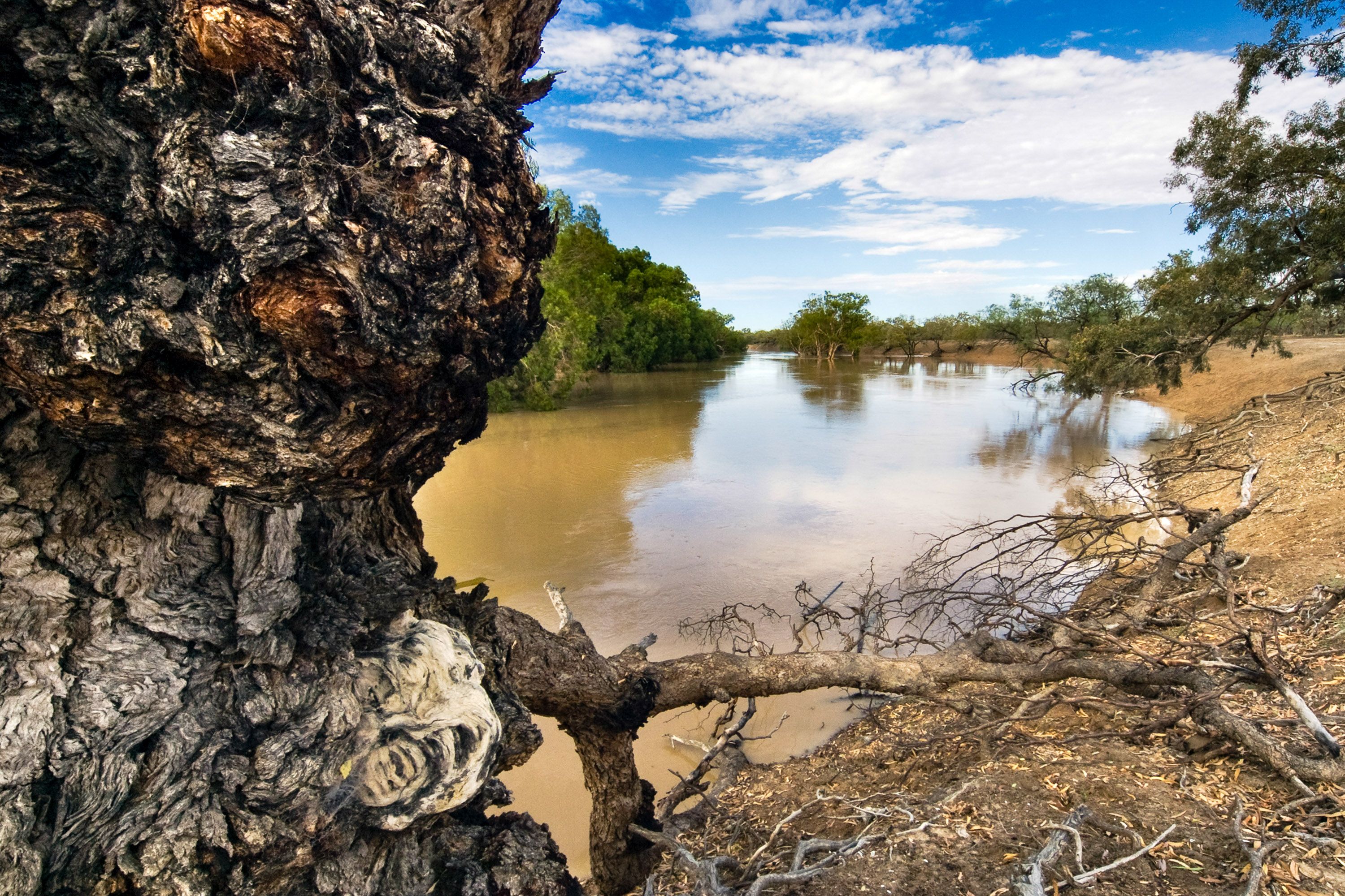 About the Darling River