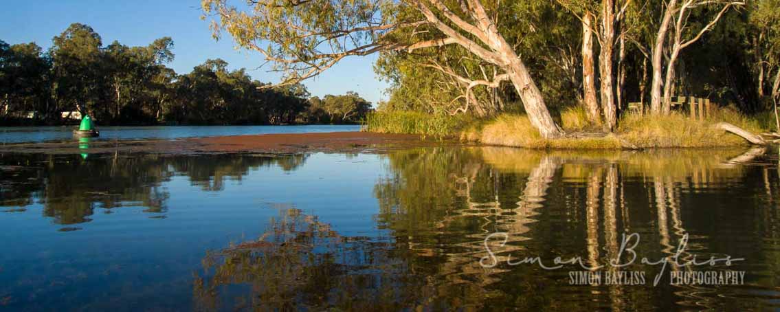 The Darling River Run - Junction Island at the confluence of the Murray River and the Darling River. Wentworth, Outback NSW