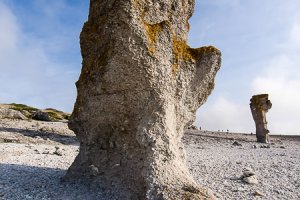 Faro Raukar
