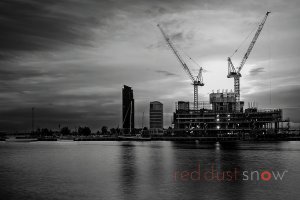 Dancing Cranes