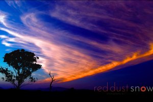 Sunset Silhouette